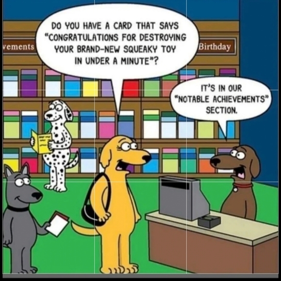 PetShoppe Dog Tennis Balls - Safe for dog's teeth & NON-TOXIC 2 Pk 5☆ BNWT SO - Picture 16 of 16